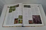 Botanica tuinplanten encyclopedie met illustraties – foto 7 – kavel bij De Kringwinkel, Geraardsbergen