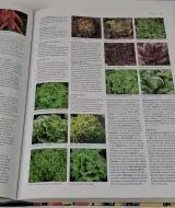 Botanica tuinplanten encyclopedie met illustraties – foto 8 – kavel bij De Kringwinkel, Geraardsbergen
