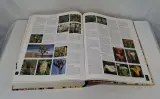 Botanica tuinplanten encyclopedie met illustraties – foto 9 – kavel bij De Kringwinkel, Geraardsbergen