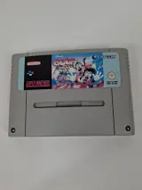 2 Super Nintendo spelcartridges Goof Troop en Donald in Maui Mallard – foto 4 – kavel bij De Kringwinkel, Geraardsbergen