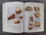 Boek: De Grote Geïllustreerde Antiek Encyclopedie – foto 6 – kavel bij De Kringwinkel, Gent