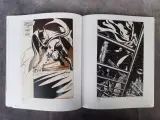 strips: DC Exhibition: Dawn of Super Heroes – foto 5 – kavel bij De Kringwinkel, Gent