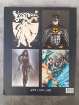 strips: DC Exhibition: Dawn of Super Heroes – foto 7 – kavel bij De Kringwinkel, Gent