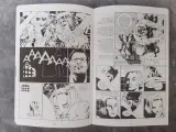 Strips: Sin City vol. 1&2 – foto 5 – kavel bij De Kringwinkel, Gent