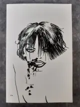 Strips: Sin City vol. 1&2 – foto 7 – kavel bij De Kringwinkel, Gent