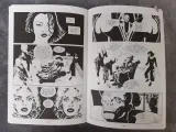 Strips: Sin City vol. 1&2 – foto 9 – kavel bij De Kringwinkel, Gent