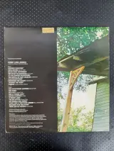 Vinyl: Duo van Johnny Cash Albums – foto 3 – kavel bij De Kringwinkel, Gent
