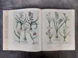 Boek: Le Jardin d'Eichstätt – foto 3 – kavel bij De Kringwinkel, Gent