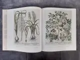 Boek: Le Jardin d'Eichstätt – foto 4 – kavel bij De Kringwinkel, Gent