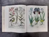 Boek: Le Jardin d'Eichstätt – foto 5 – kavel bij De Kringwinkel, Gent