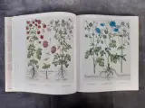 Boek: Le Jardin d'Eichstätt – foto 6 – kavel bij De Kringwinkel, Gent
