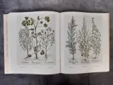 Boek: Le Jardin d'Eichstätt – foto 8 – kavel bij De Kringwinkel, Gent