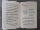 boek: Copyright Panamarenko (zeldzame gesigneerde editie) – foto 4 – kavel bij De Kringwinkel, Gent