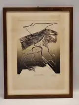 Abstracte ets “Ode aan Christelle G.” - handgesigneerd en genummerd 3/5 – kavel bij De Kringwinkel, Gent