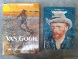 Boek: Duo van kunstboeken over Van Gogh – kavel bij De Kringwinkel, Gent