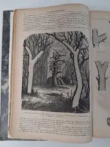 Antiek boek: "le magasin pittoresque", 1874 – foto 3 – kavel bij De Kringwinkel, Waardamme