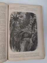 Antiek boek: "le magasin pittoresque", 1869 – foto 3 – kavel bij De Kringwinkel, Waardamme