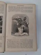 Antiek boek: "le magasin pittoresque", 1862 – foto 3 – kavel bij De Kringwinkel, Waardamme