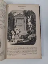 Antiek boek: "le magasin pittoresque", 1861 – foto 4 – kavel bij De Kringwinkel, Waardamme