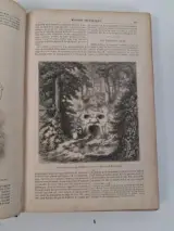 Antiek boek: "le magasin pittoresque", 1856 – foto 5 – kavel bij De Kringwinkel, Waardamme