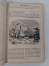 Antiek boek: "le magasin pittoresque", 1853 – foto 5 – kavel bij De Kringwinkel, Waardamme