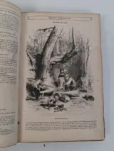 Antiek boek: "le magasin pittoresque", 1851 – foto 3 – kavel bij De Kringwinkel, Waardamme