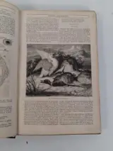 Antiek boek: "le magasin pittoresque", 1850 – foto 3 – kavel bij De Kringwinkel, Waardamme