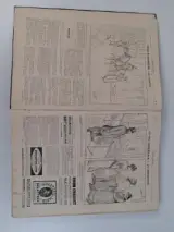 Antiek boek: "Le journal amusant" – foto 5 – kavel bij De Kringwinkel, Waardamme