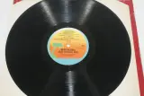 LP 'New Orleans 1976 Festival' – foto 8 – kavel bij De Kringwinkel, Brecht