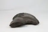 Afrikaans houten wandsculptuur – foto 5 – kavel bij De Kringwinkel, Brecht