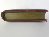 Vintage fotoalbum | Circa 1900-1930 – foto 5 – kavel bij De Kringwinkel, Heverlee