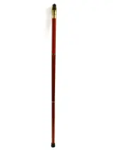 Victorian Ebony Walking Cane – foto 3 – kavel bij De Kringwinkel, Dilsen