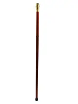 Victorian Ebony Walking Cane – foto 4 – kavel bij De Kringwinkel, Dilsen
