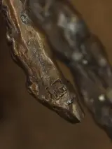 Jacques Vanroose voor Gardeco Objects – drie losse bronzen figuren – 75/99 – foto 2 – kavel bij De Kringwinkel, Antwerpen