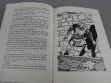 Boek de rode ridder – foto 6 – kavel bij De Kringwinkel, Diest