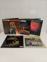 5 albums 'Neil Diamond' – kavel bij De Kringwinkel, Liedekerke