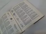 Elseviers Tuinboek: het klassieke handboek voor de tuinliefhebber – foto 5 – kavel bij De Kringwinkel, Geraardsbergen