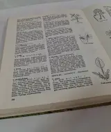 Elseviers Tuinboek: het klassieke handboek voor de tuinliefhebber – foto 7 – kavel bij De Kringwinkel, Geraardsbergen
