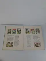 Kavel van 4 Vintage Victoria Plaatjesalbums – Nostalgische Verzamelboeken – foto 2 – kavel bij De Kringwinkel, Waardamme