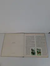 Kavel van 4 Vintage Victoria Plaatjesalbums – Nostalgische Verzamelboeken – foto 4 – kavel bij De Kringwinkel, Waardamme