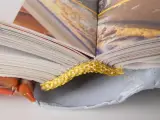 Set van 3 Franstalige boeken over gastronomie en chocolade – foto 8 – kavel bij De Kringwinkel, Heverlee