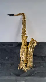 Stewart Ellis alt saxofoon met koffer – foto 2 – kavel bij De Kringwinkel, Turnhout