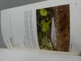 Boek De vissen van onze Vlaamse beken en rivieren – foto 6 – kavel bij De Kringwinkel, Diest