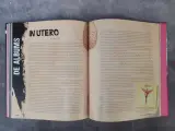 Boek: Nirvana - De complete geïllustreerde geschiedenis – foto 7 – kavel bij De Kringwinkel, Gent
