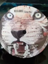 Vinyl: Duo van Diana Ross albums – foto 5 – kavel bij De Kringwinkel, Gent