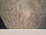 Amitiés particulières - Gesigneerde lithografie 222/250 (1989) - Gérard Daran – foto 9 – kavel bij De Kringwinkel, Gent