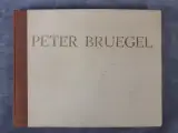 Boek: Duo van Pieter Breugel kunstboeken – foto 2 – kavel bij De Kringwinkel, Gent