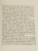 Karel Appel – Schilderijen 1937-1957 – Michel Ragon 1988 – foto 5 – kavel bij De Kringwinkel, Antwerpen