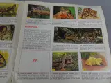 Stickerboek zoogdieren – foto 5 – kavel bij De Kringwinkel, Diest