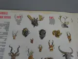 Stickerboek zoogdieren – foto 8 – kavel bij De Kringwinkel, Diest